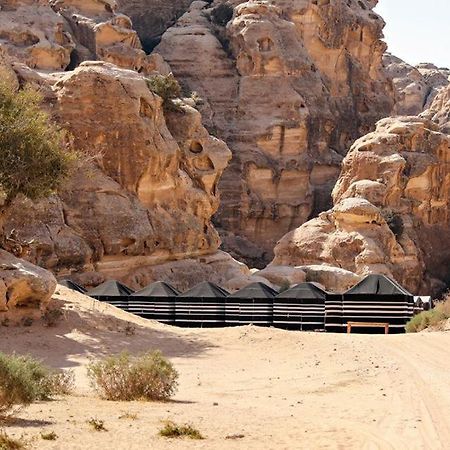 Hotel Ammarin Bedouin Camp Wadi Musa Zewnętrze zdjęcie