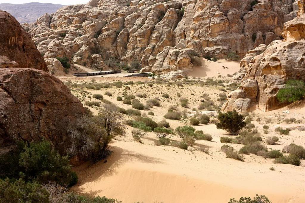 Hotel Ammarin Bedouin Camp Wadi Musa Zewnętrze zdjęcie