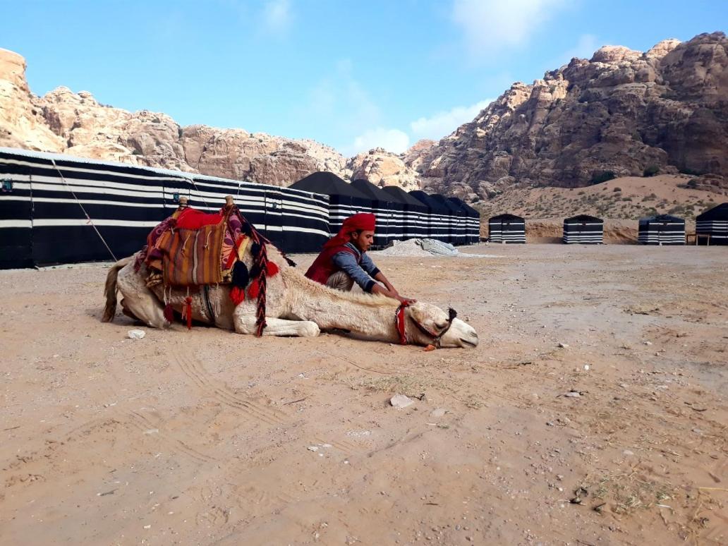 Hotel Ammarin Bedouin Camp Wadi Musa Zewnętrze zdjęcie