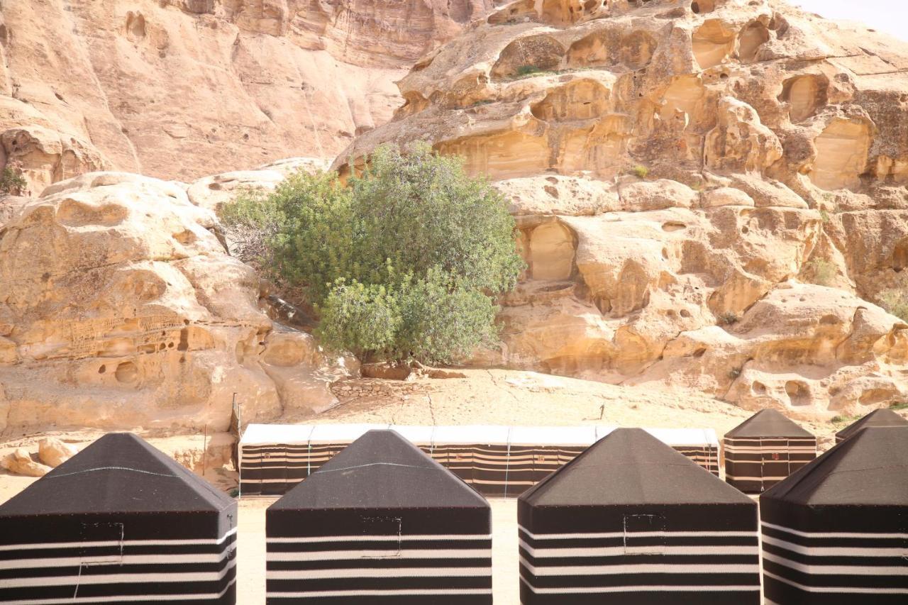 Hotel Ammarin Bedouin Camp Wadi Musa Zewnętrze zdjęcie